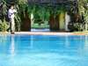 Elephant House - Pool